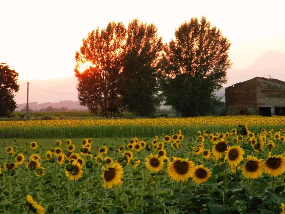 Agriturismo Settepassi Tuscany Ponte Buggianese Εξωτερικό φωτογραφία